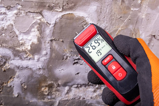 Best Best Mold Removal Companies  in Rheems, PA