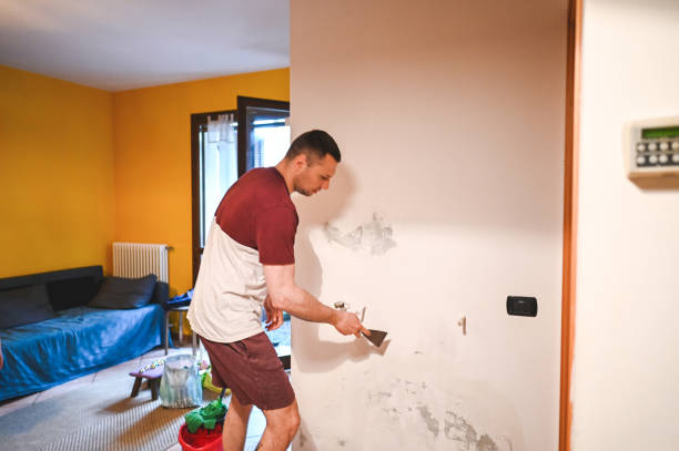 Best Attic Mold Removal  in Rheems, PA