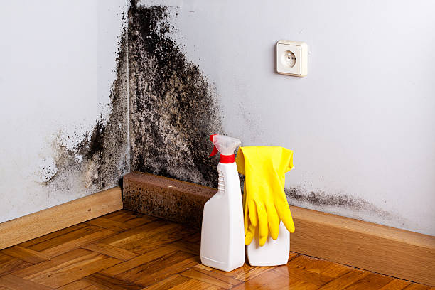 Water Damage Restoration in Rheems, PA